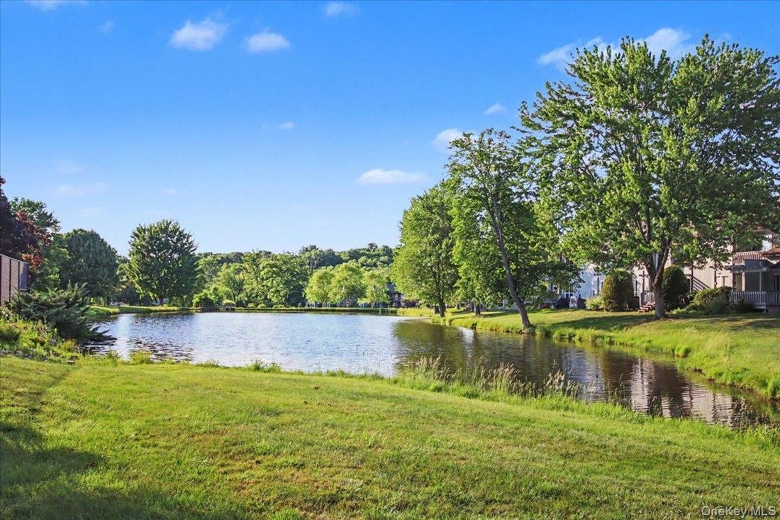 Condo in Rhinebeck, New York, United States 3 - 18193000