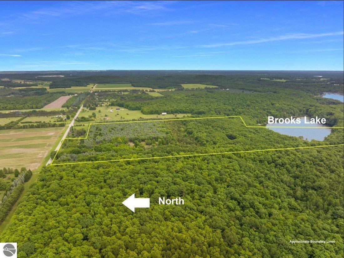 Land in Empire, Michigan, United States 3 - 18343044