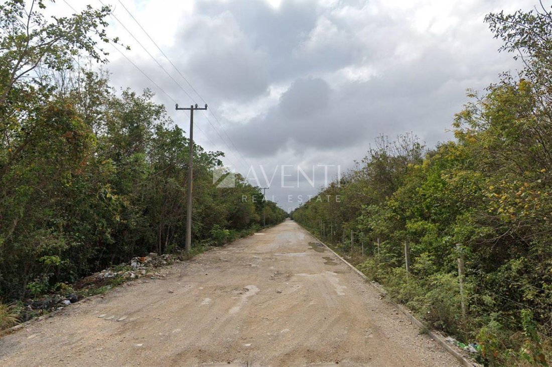 Land in Alfredo V. Bonfil, Quintana Roo, Mexico 4 - 18337193