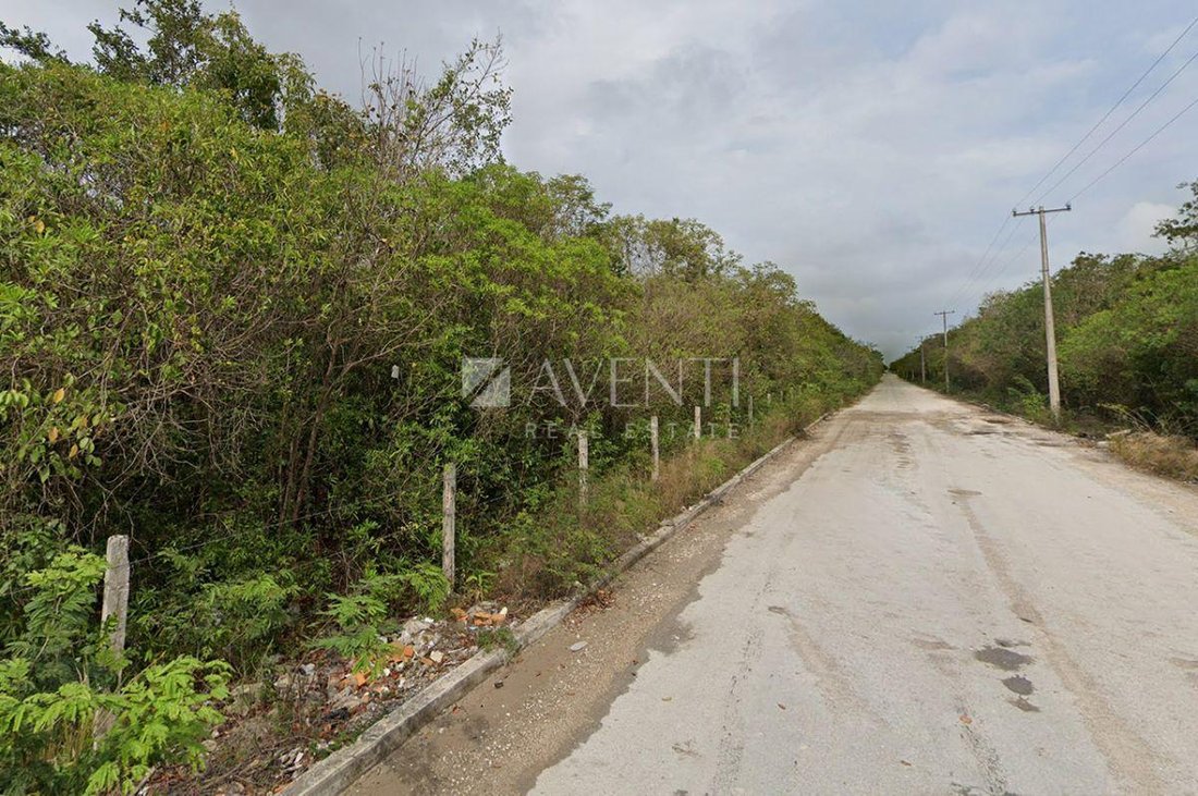 Land in Alfredo V. Bonfil, Quintana Roo, Mexico 3 - 18337193