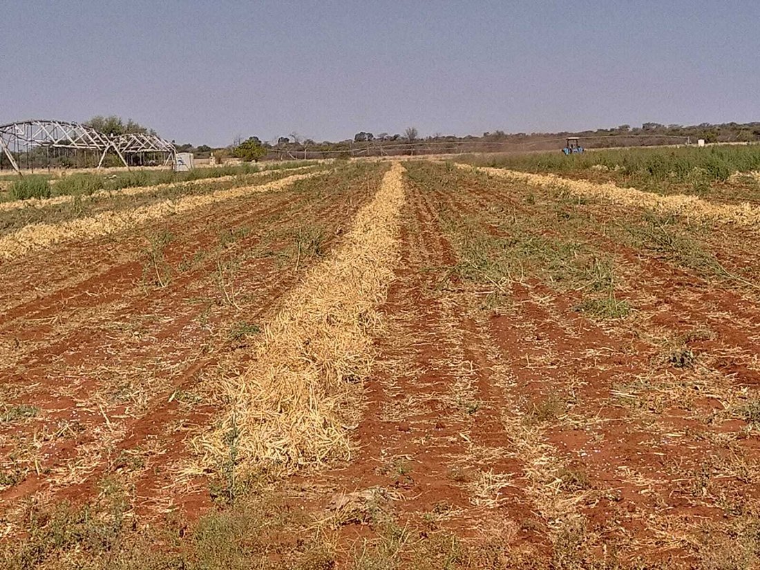Farm Ranch in Mookgopong, Limpopo, South Africa 2 - 18337763
