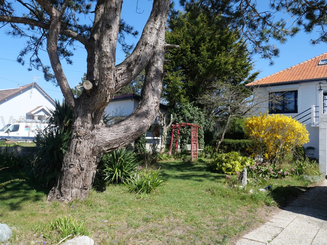 House in France 3 - 18334816