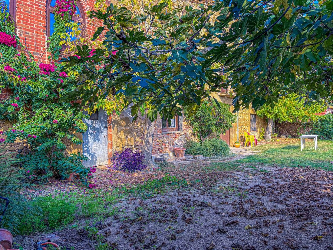 Land in Corca, Catalonia, Spain 5 - 18335189