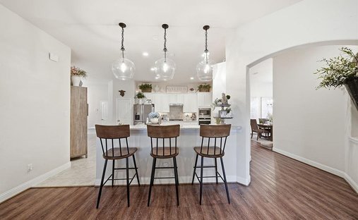House in Iowa Colony, Texas, United States 1