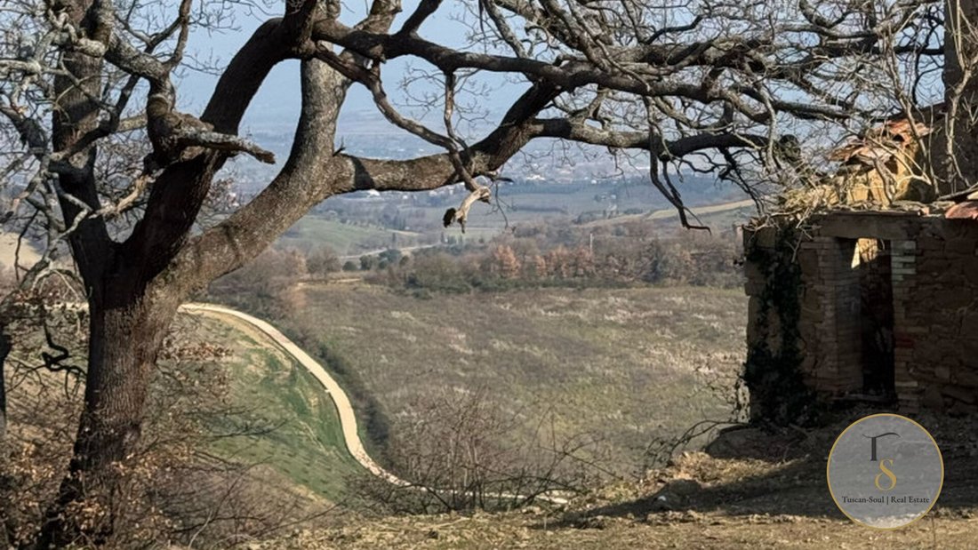 Farm Ranch in Siena, Tuscany, Italy 2 - 18341377