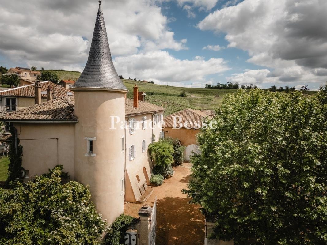 Castle in Saint-Jean-d'Ardières, Belleville-en-Beaujolais, France 2 - 18340882