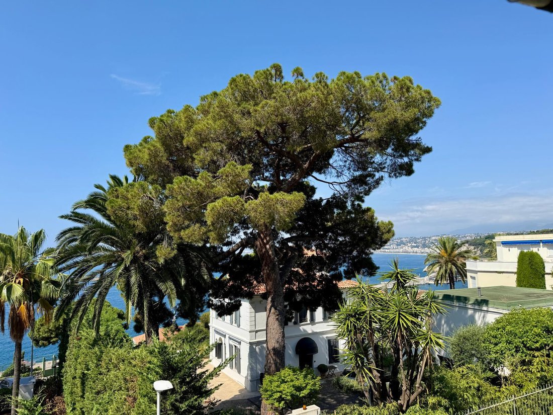 Apartment in Mont Boron, Nice, Provence-Alpes-Côte d'Azur 1 - 18335339