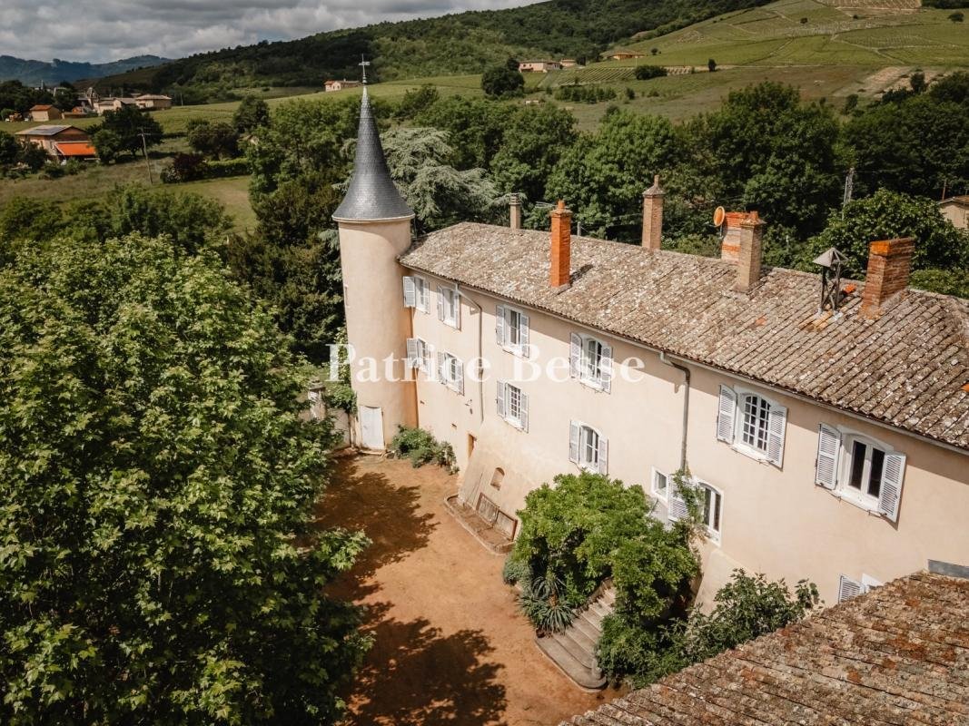 Castle in Saint-Jean-d'Ardières, Belleville-en-Beaujolais, France 1 - 18340882