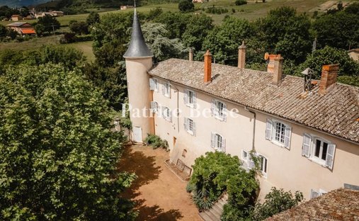 Castle in Saint-Jean-d'Ardières, Belleville-en-Beaujolais, France 1