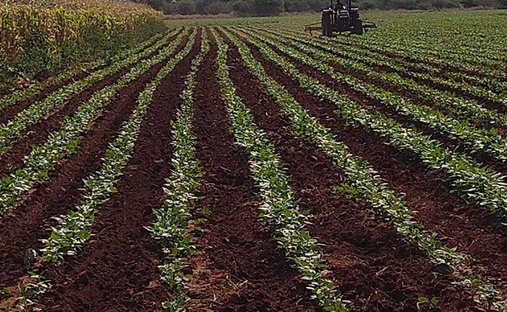 Farm Ranch in Mookgopong, Limpopo, South Africa 1