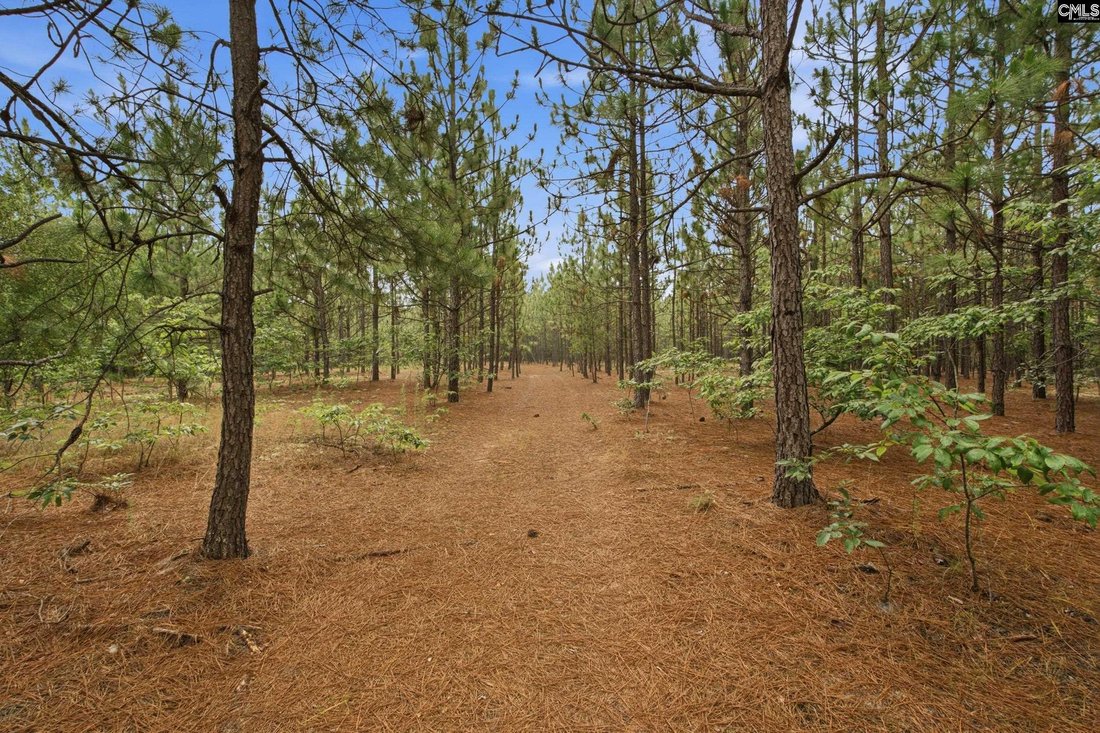 Kershaw, South Carolina, United States 4 - 18342166