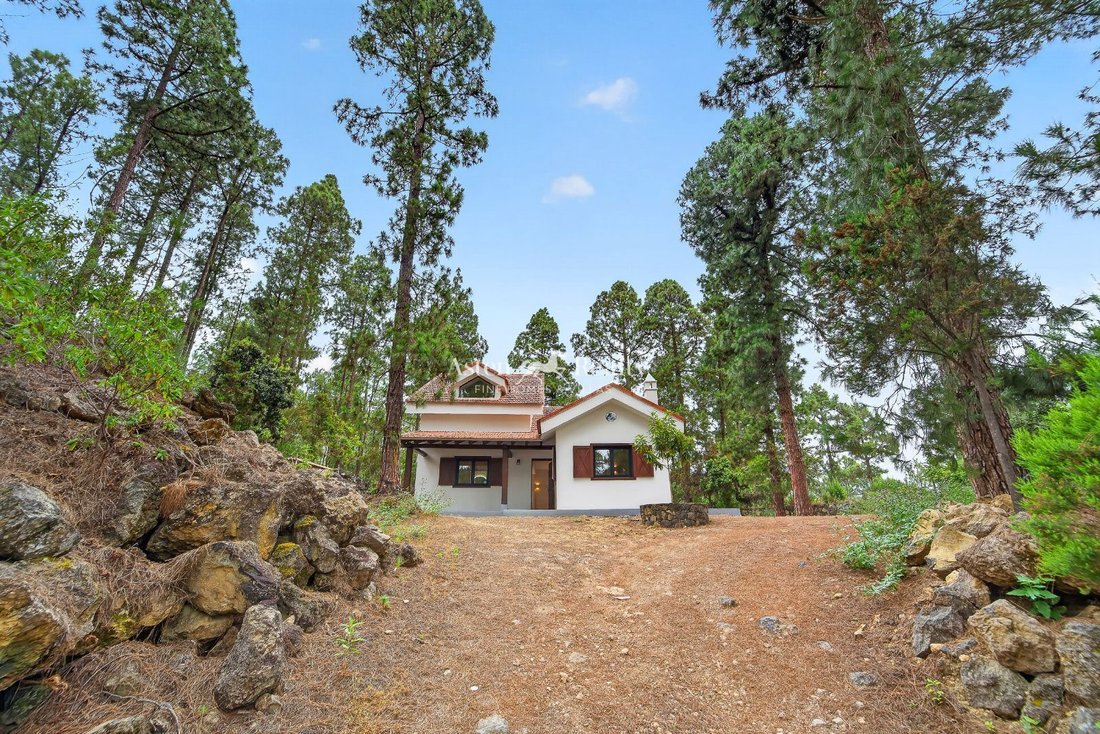 House in Icod de los Vinos, Canary Islands, Spain 3 - 18335050