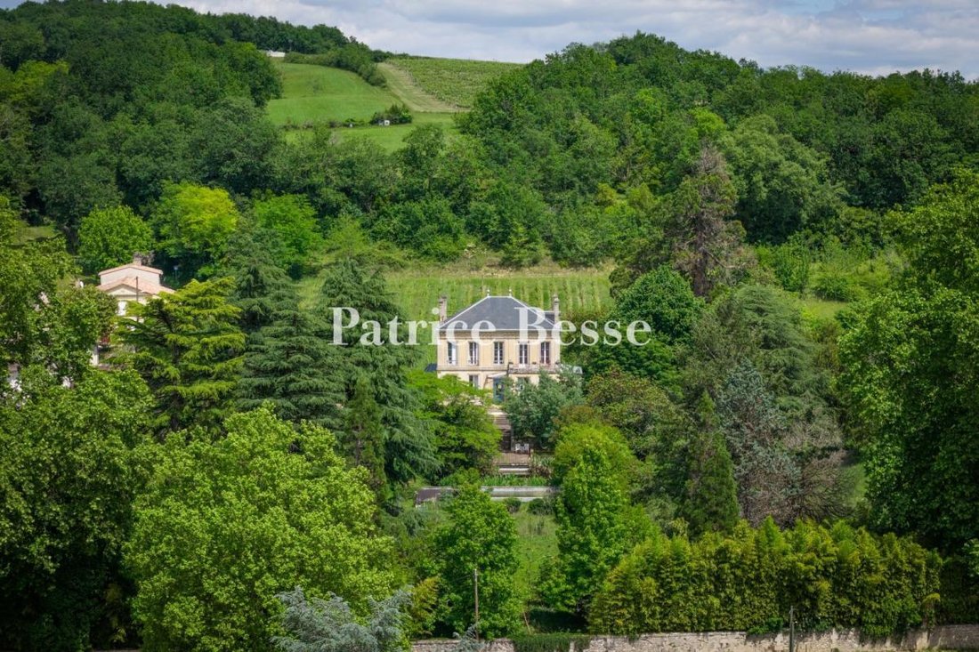 Château à Lestiac-sur-Garonne, Nouvelle-Aquitaine, France 1 - 18341167