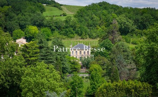Castillo en Lestiac-sur-Garonne, Nueva Aquitania, Francia 1