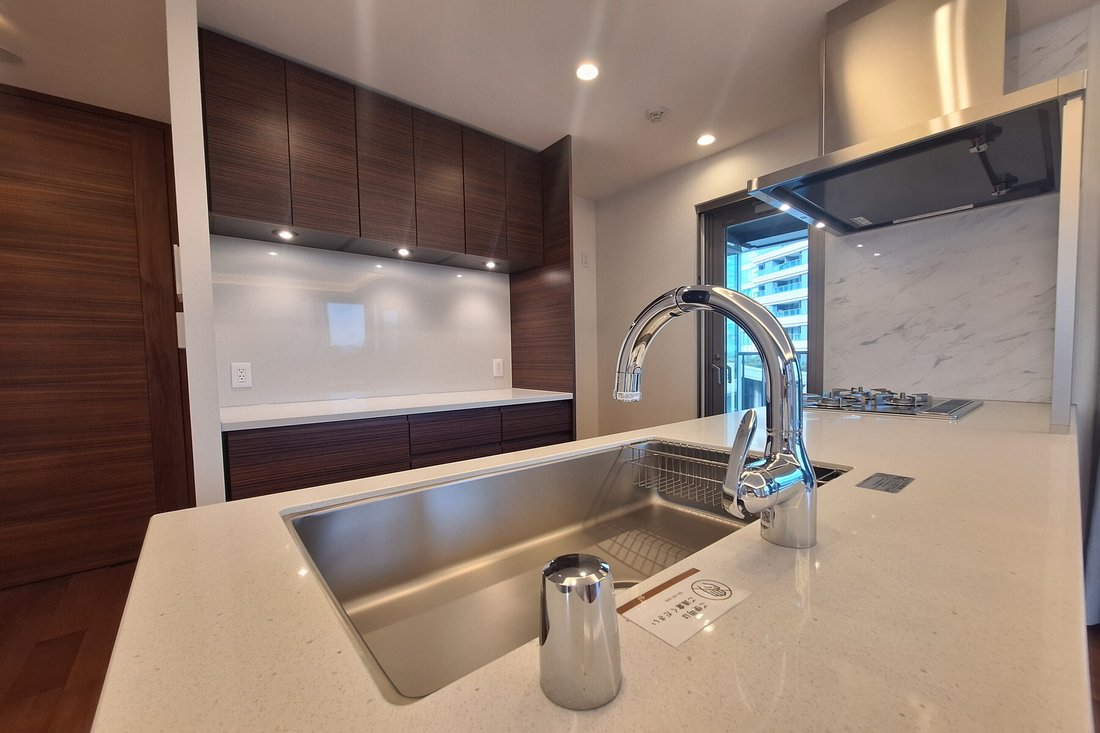 Condo in Minato City, Tokyo, Japan 4 - 18348856