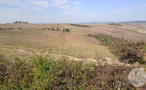 Azienda agricola a Siena, Toscana, Italia 1