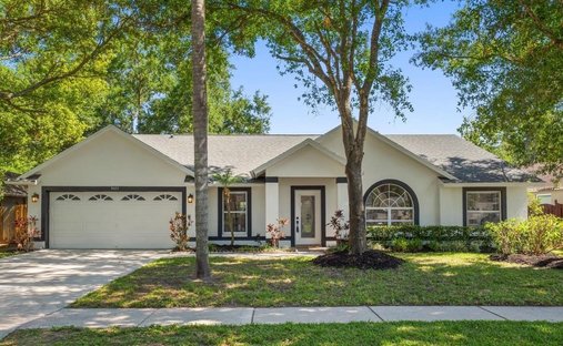 House in Tampa, Florida, United States 1