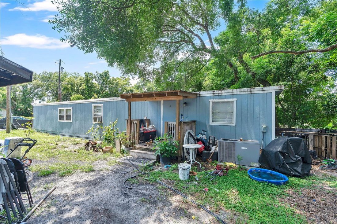 Zellwood, Florida, United States 5 - 18345367