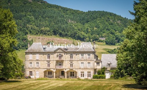 Castle in Ydes, Auvergne-Rhône-Alpes, France 1
