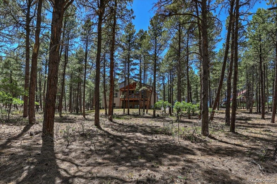 Haus in Pagosa Springs, Colorado, Vereinigte Staaten 5 - 18339723