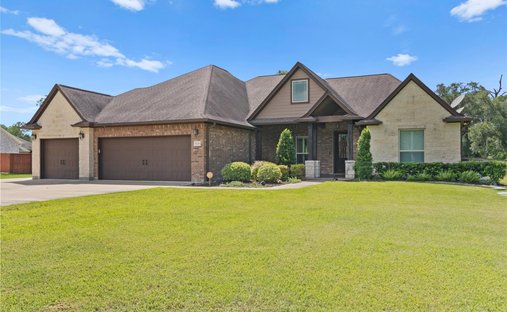 House in Angleton, Texas, United States 1