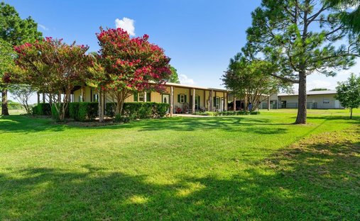 House in Talty, Texas, United States 1