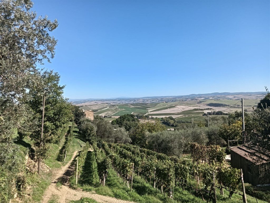 Country House in Montalcino, Tuscany, Italy 5 - 18335058