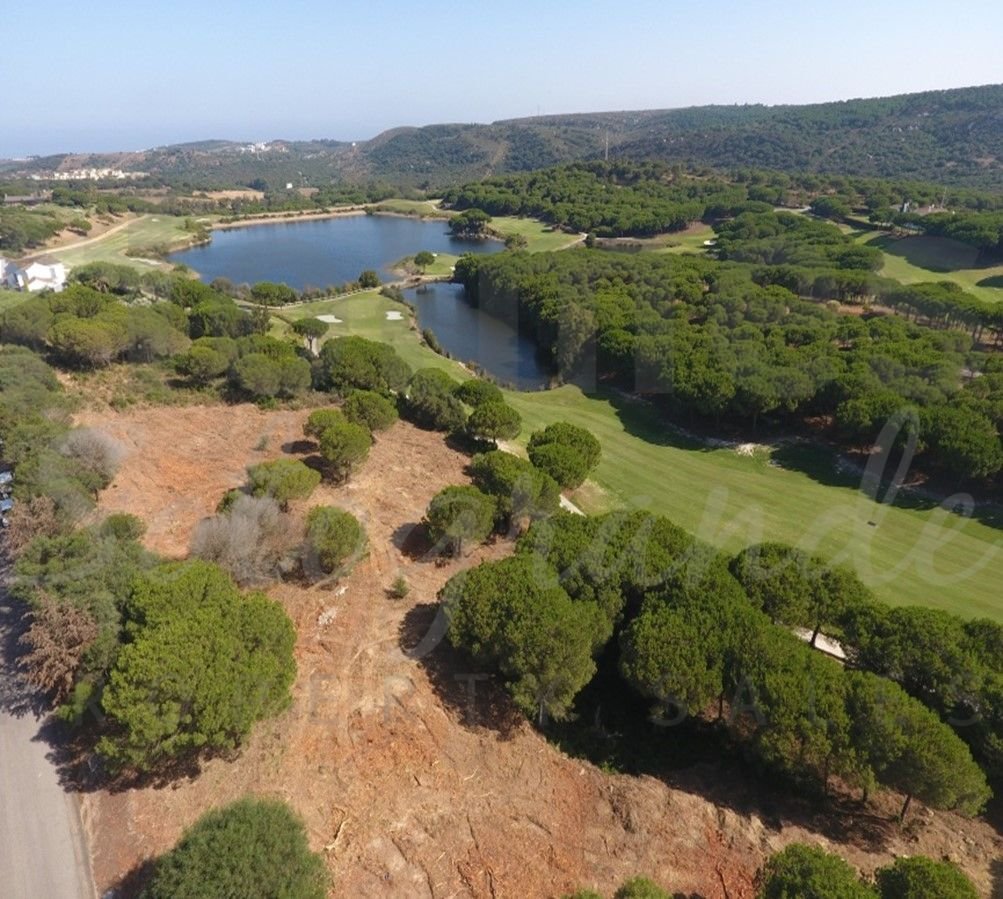 Land in Sotogrande, San Roque, Andalusia 4 - 17443584