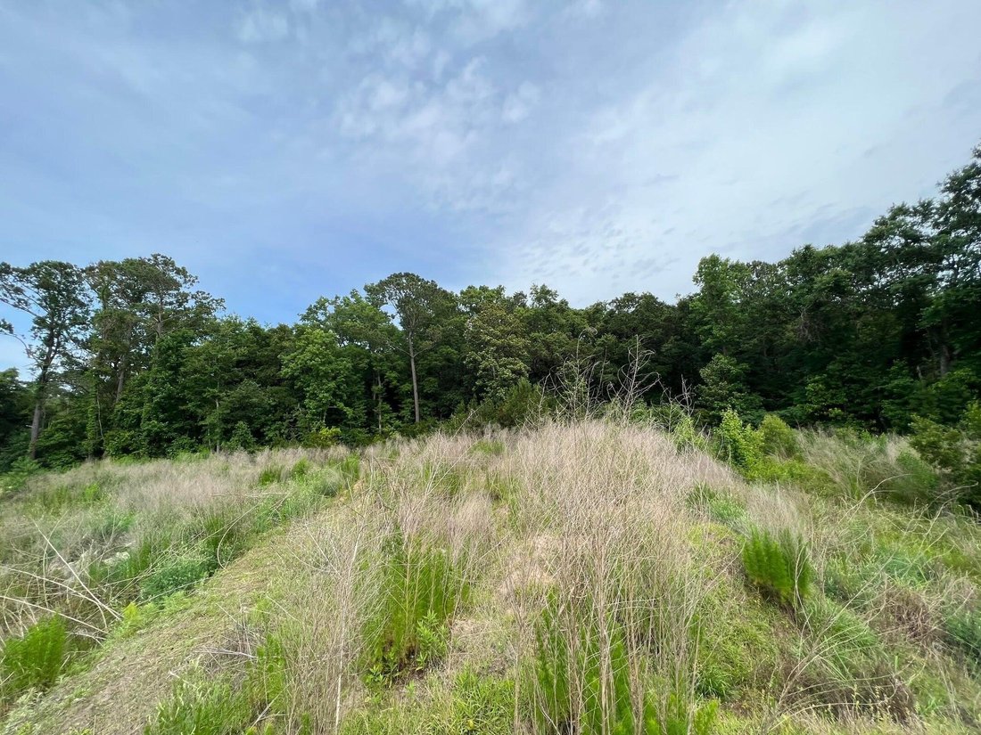 Land in Charleston, South Carolina, United States 3 - 18341905