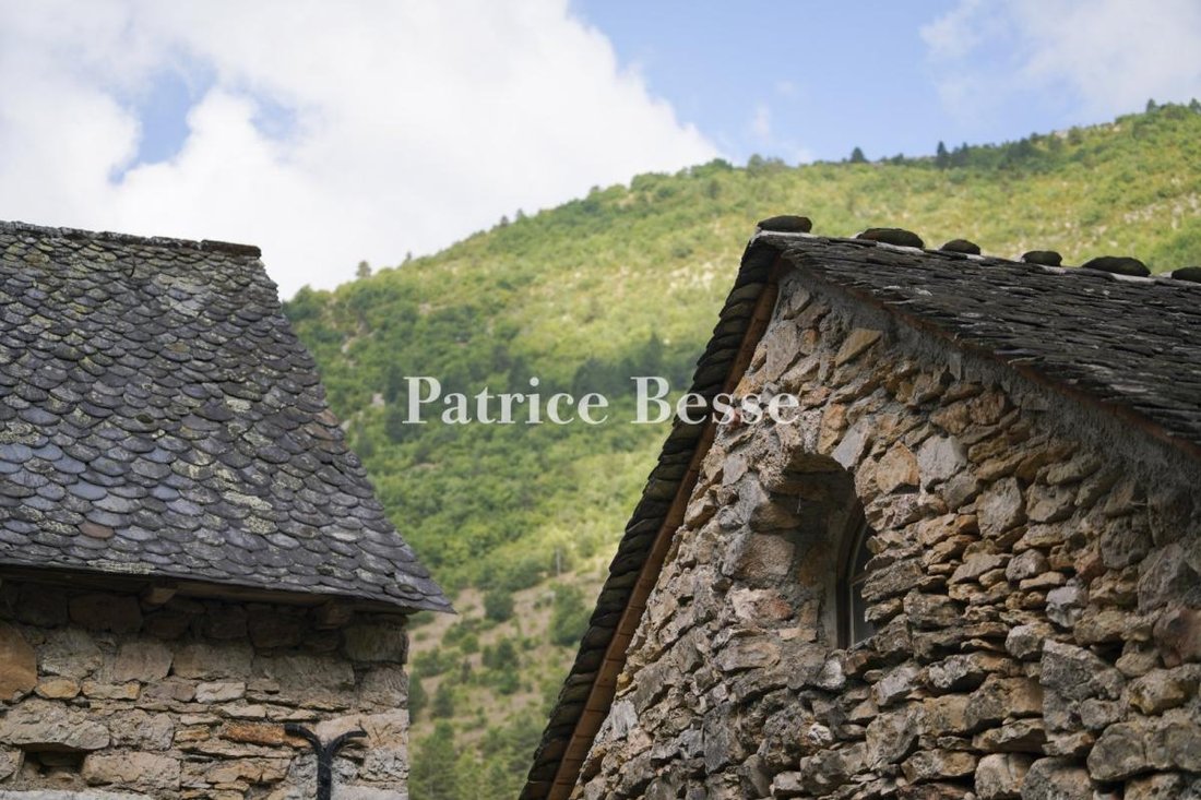 Maison à Ispagnac, Occitanie, France 5 - 16049427