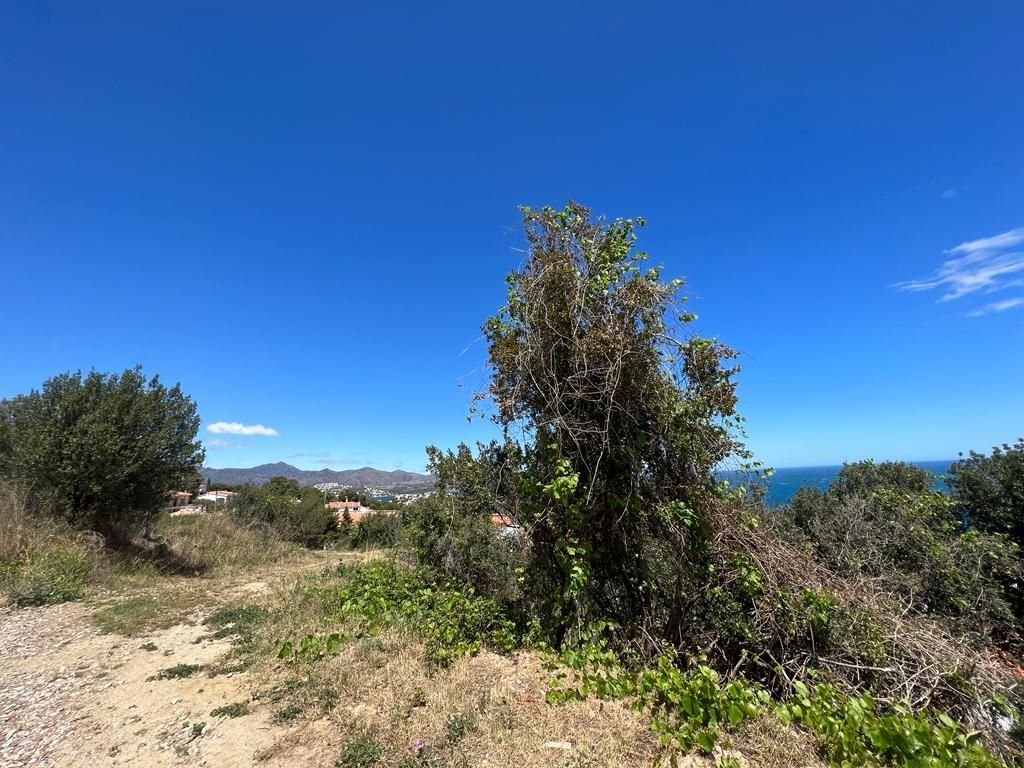 Land in Llanca, Catalonia, Spain 2 - 18335143