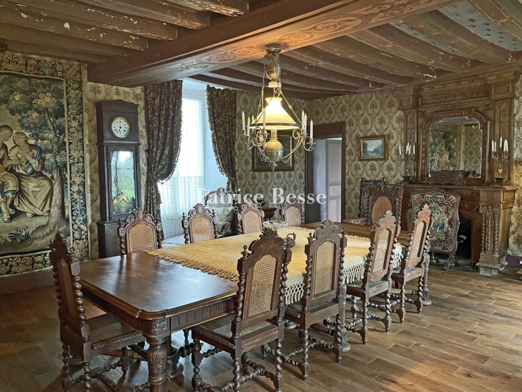 Castle in Segre, Segre-en-Anjou Bleu, France 5 - 13602114