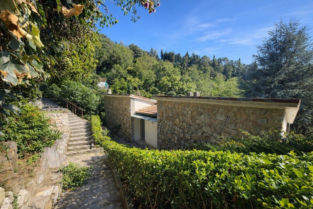 Villa in Capezzano Pianore, Camaiore, Tuscany 2 - 18336998