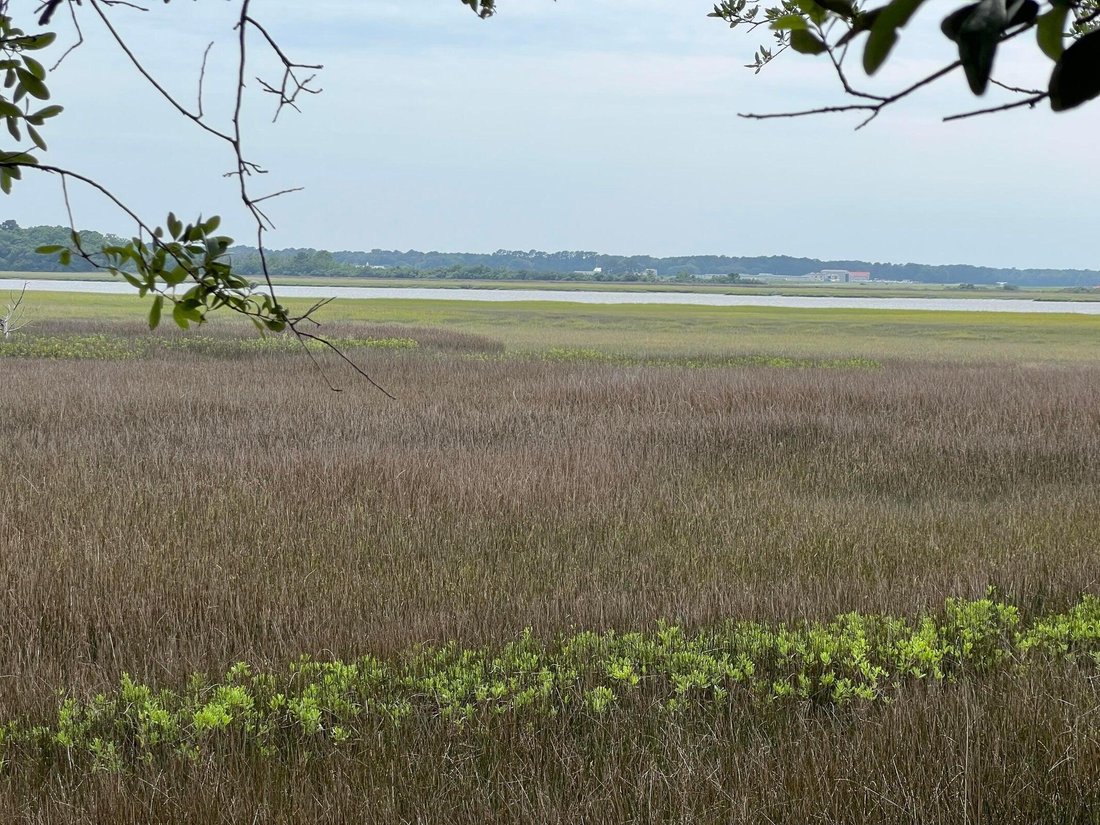 Land in Charleston, South Carolina, United States 1 - 18341905
