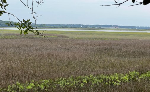 Land in Charleston, South Carolina, United States 1