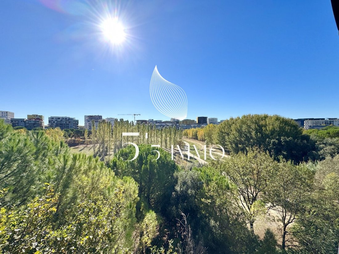 Apartment in Centre Historique, Montpellier, France 2 - 18335845