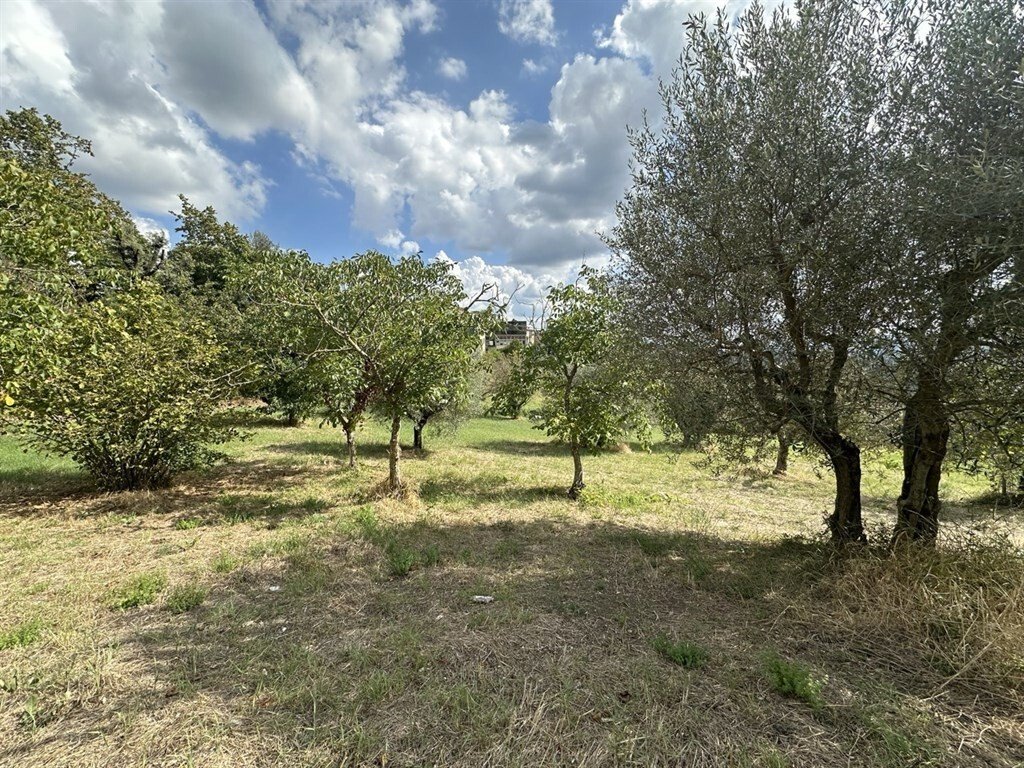 Country House in Castellina in Chianti, Tuscany, Italy 3 - 18335266