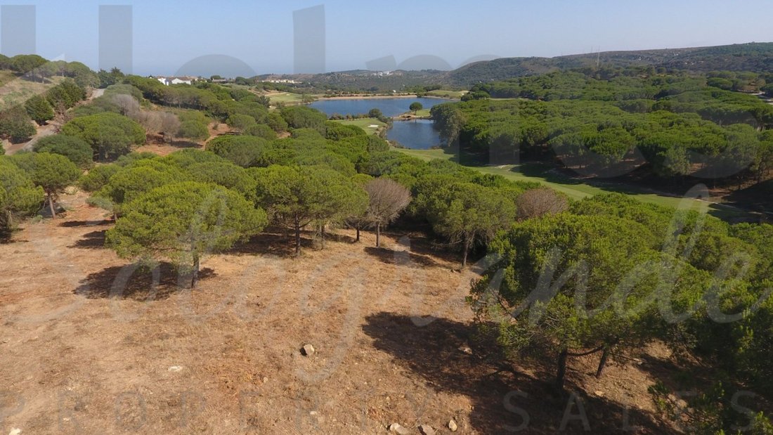 Terreno a Sotogrande, San Roque, Andalusia 2 - 17442387
