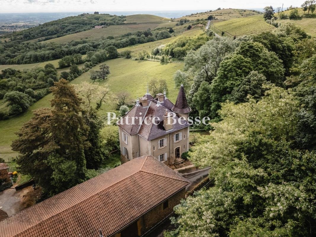 Castle in Montmelas-Saint-Sorlin, Auvergne-Rhône-Alpes, France 2 - 18340422