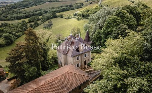 Castle in Montmelas-Saint-Sorlin, Auvergne-Rhône-Alpes, France 1