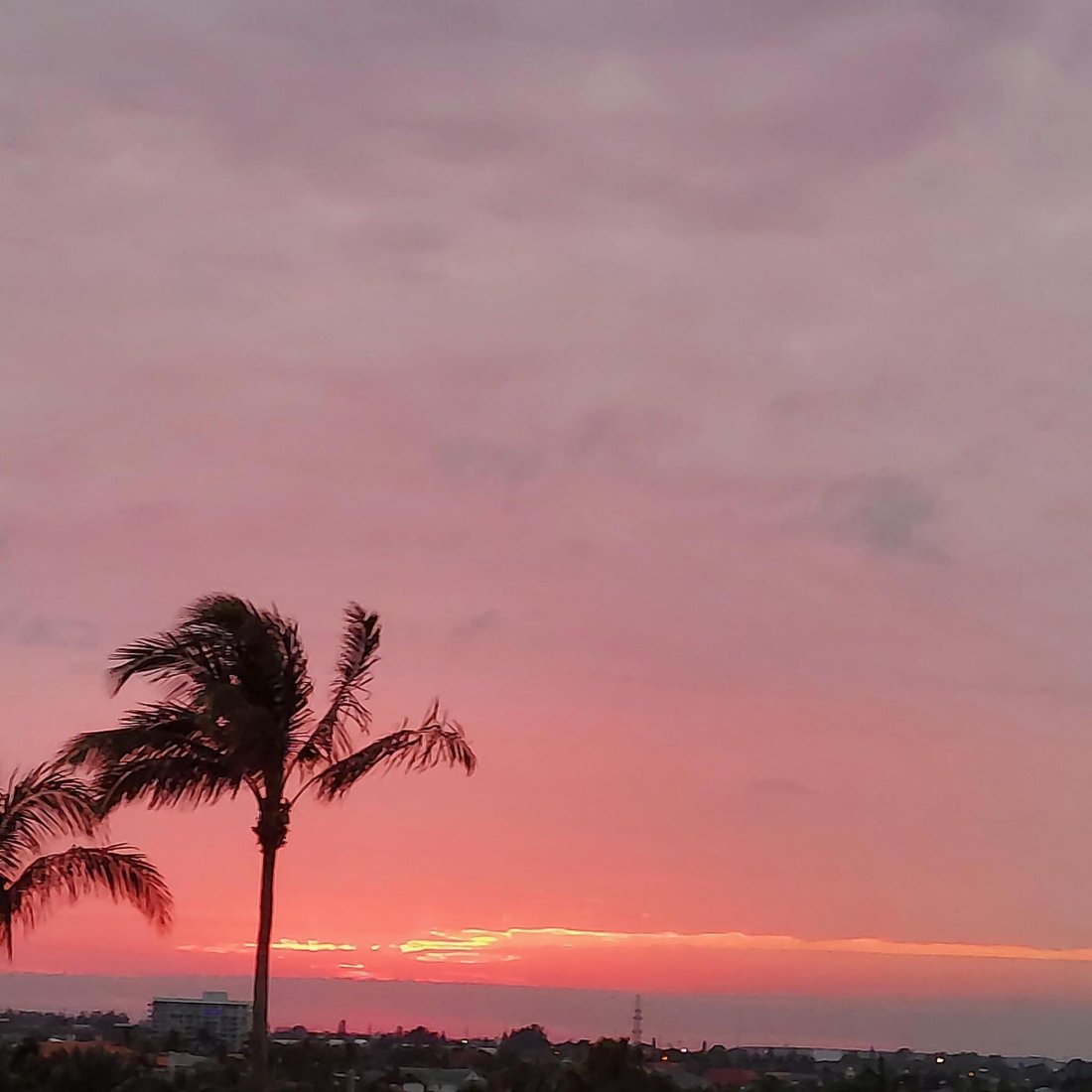 Condo in Riviera Beach, Florida, United States 5 - 18241573