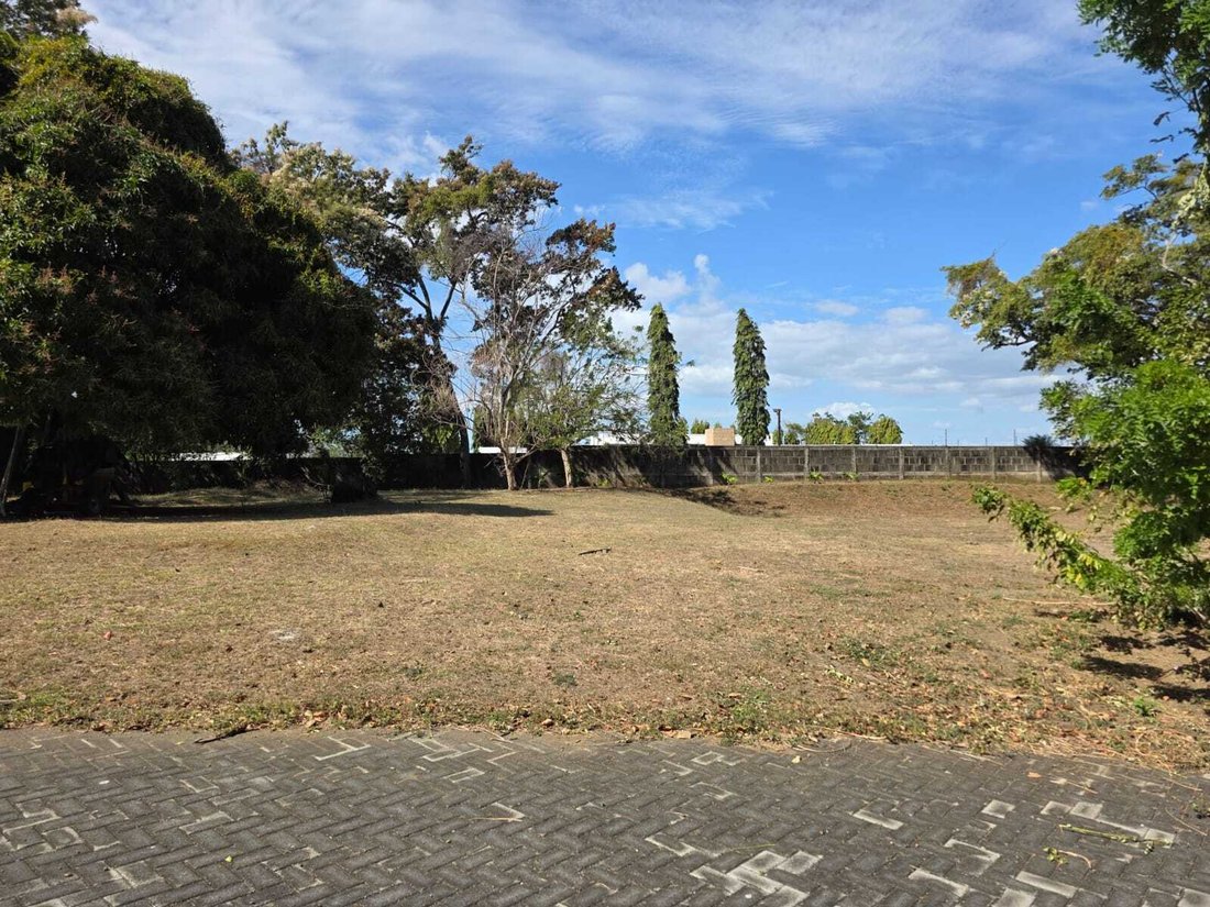 Land in Managua, Managua, Nicaragua 4 - 18345545