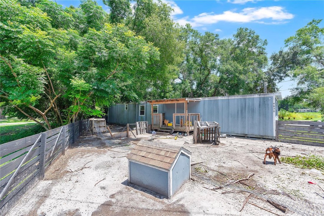 Zellwood, Florida, United States 4 - 18345367