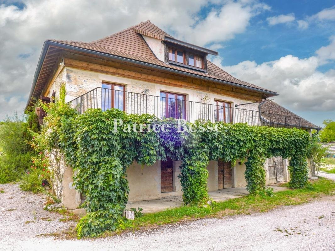 Haus in Seyssel, Auvergne-Rhone-Alpen, Frankreich 1 - 16080852