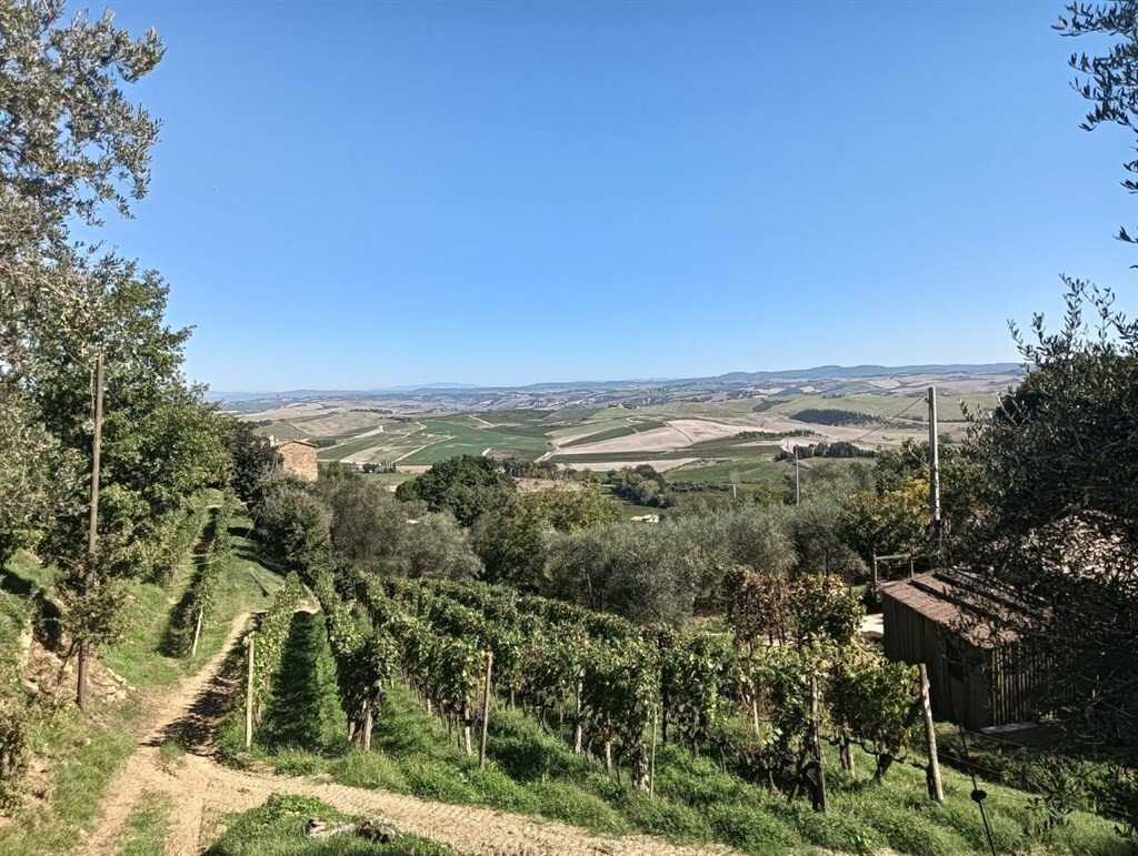 Country House in Montalcino, Tuscany, Italy 2 - 18335058