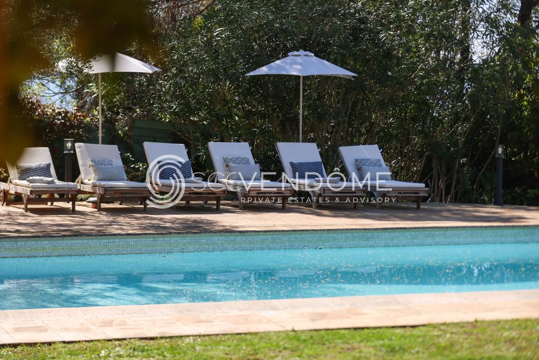 Villa in Vieux Cannet, Le Cannet, France 4 - 17830525