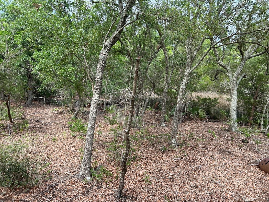 Land in Charleston, South Carolina, United States 4 - 18341905