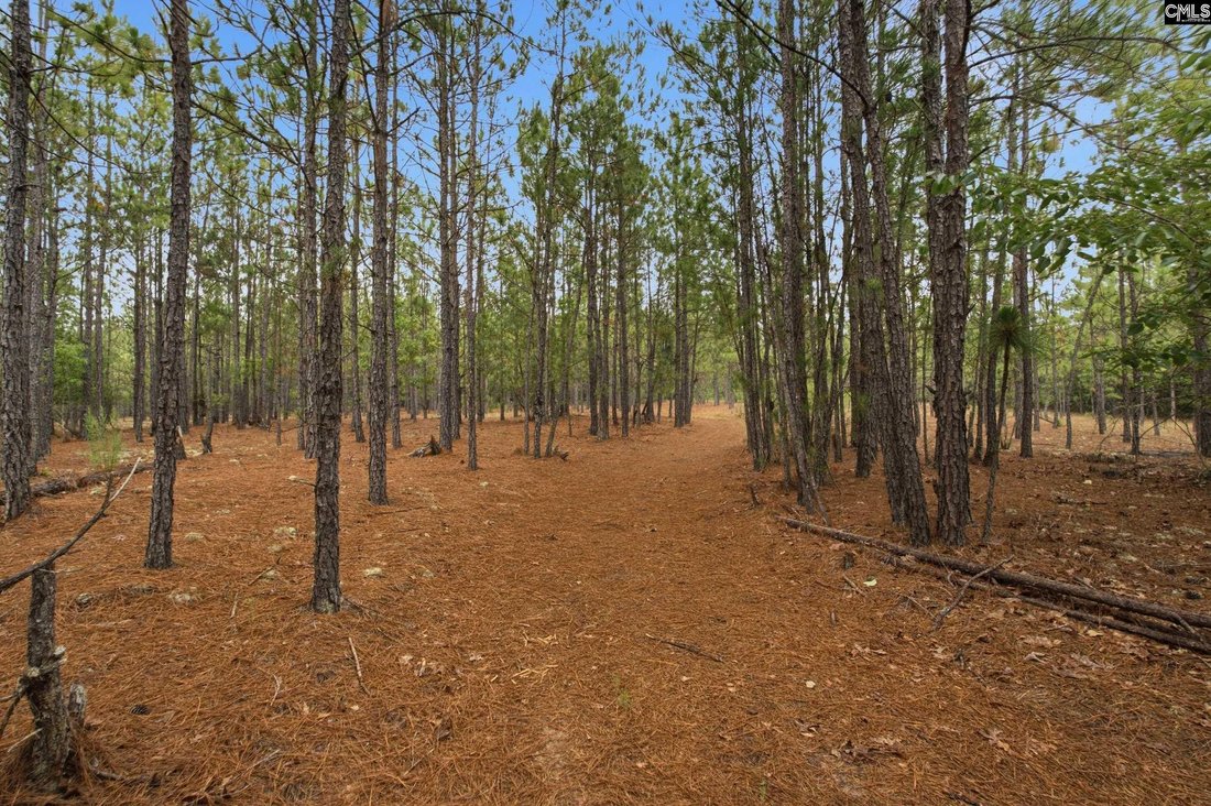Kershaw, South Carolina, United States 1 - 18342166