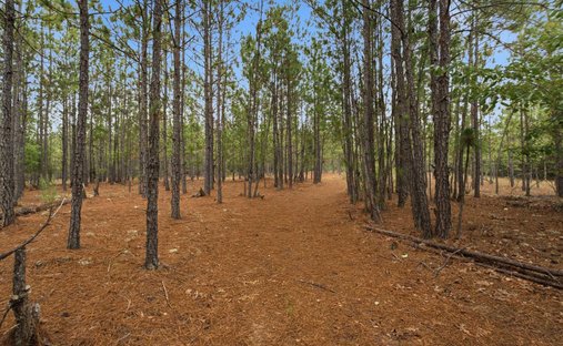Kershaw, South Carolina, United States 1
