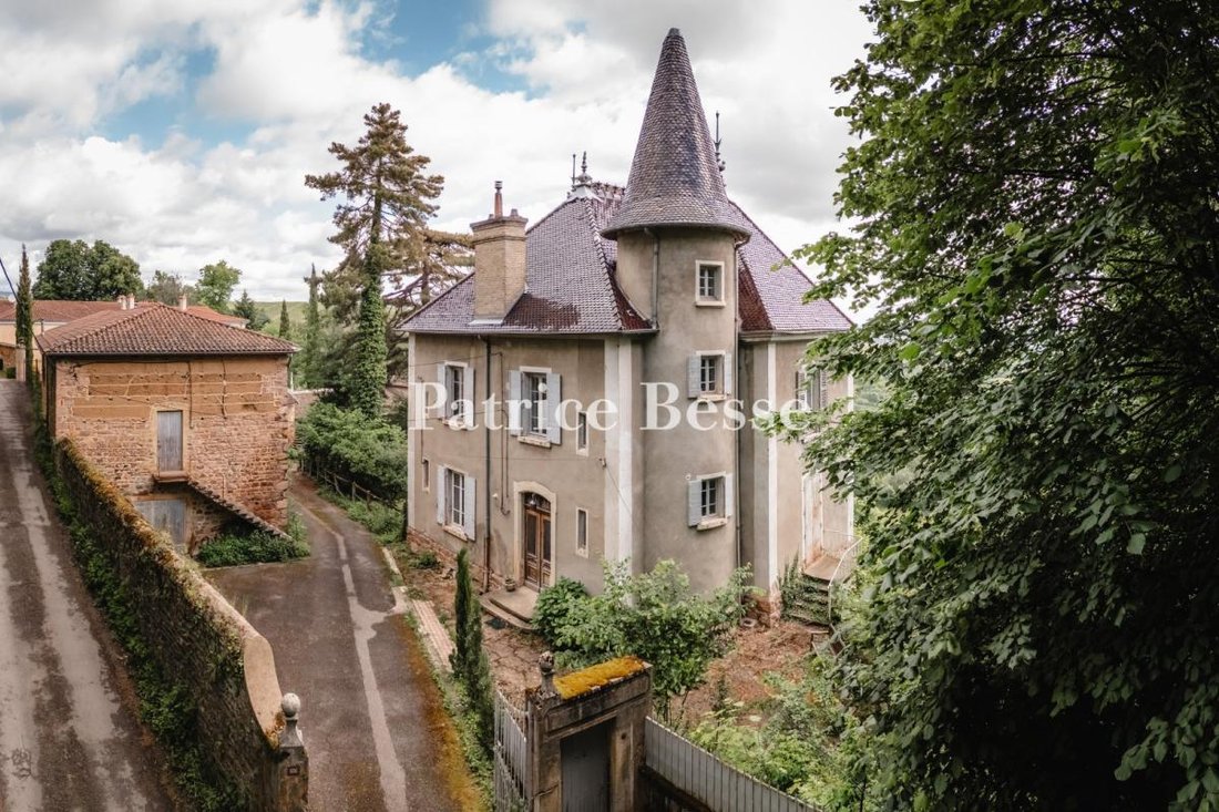 Castle in Montmelas-Saint-Sorlin, Auvergne-Rhône-Alpes, France 3 - 18340422